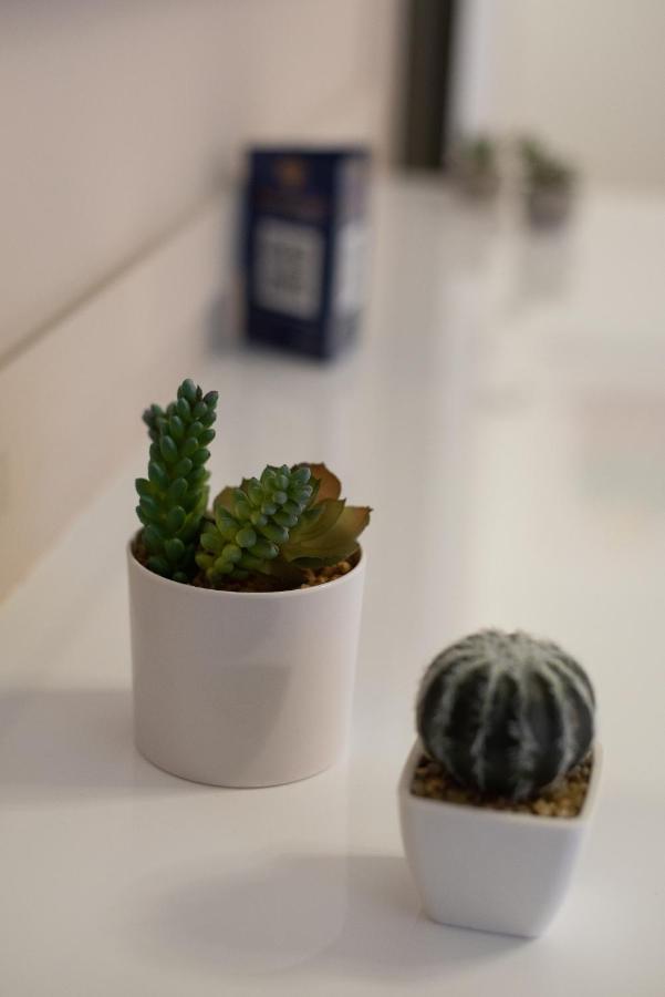 Medluxe Cozy Apartment! Athens Ngoại thất bức ảnh