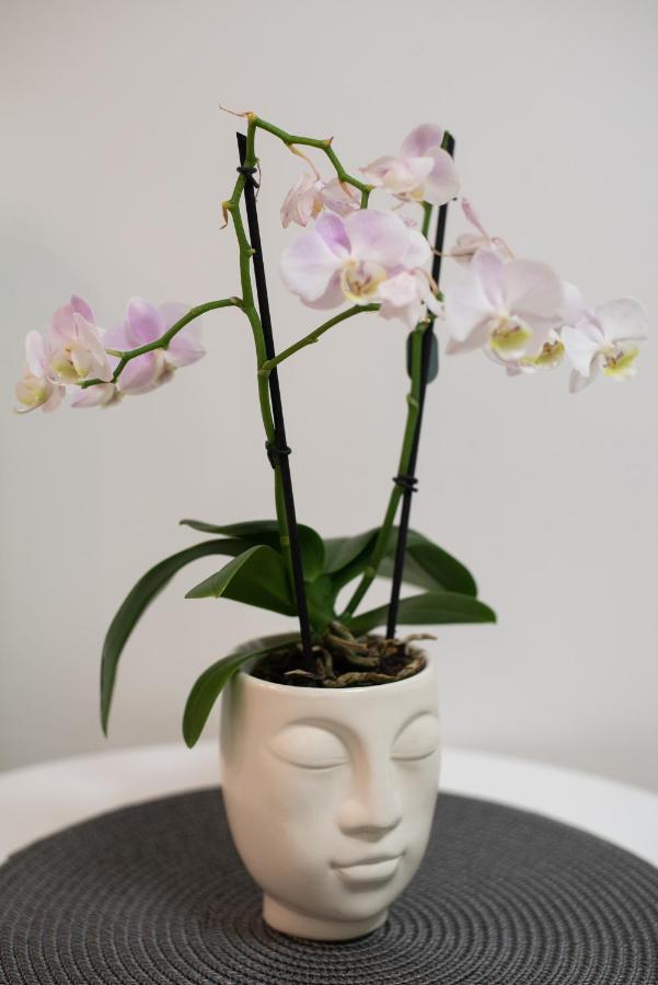 Medluxe Cozy Apartment! Athens Ngoại thất bức ảnh